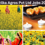 Fazilka Agros Pvt Ltd Jobs 2025