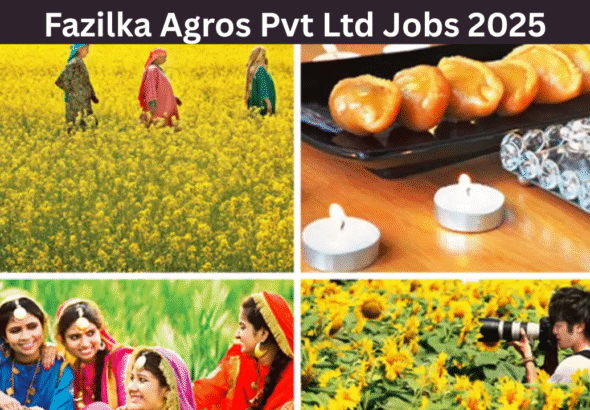 Fazilka Agros Pvt Ltd Jobs 2025
