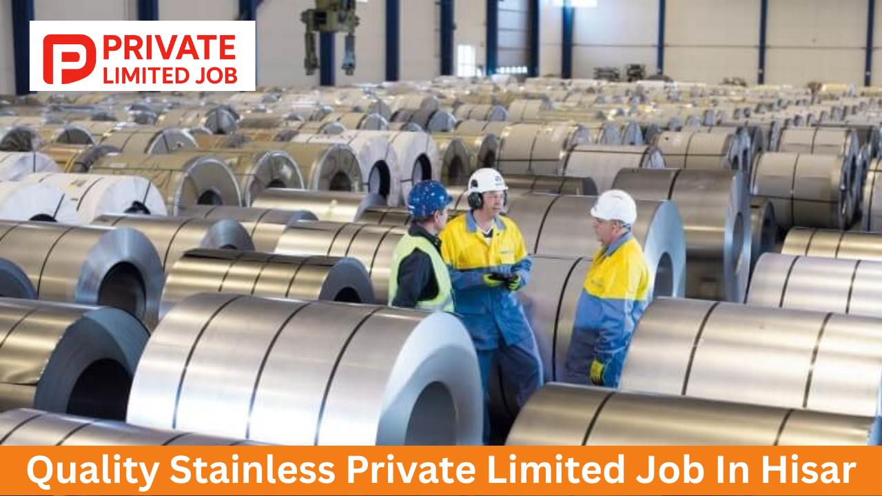 Quality Stainless Private Limited Job In Hisar