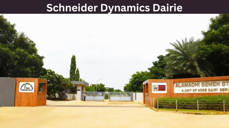 Schneider Dynamics Dairie